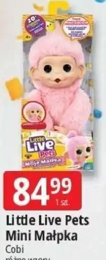 E.Leclerc Little Live Pets Mini Małpka oferta