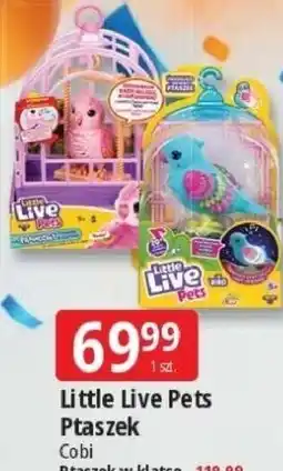 E.Leclerc Little Live Pets Ptaszek w klatce oferta