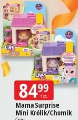 E.Leclerc Mama Surprise Mini Królik/Chomik oferta