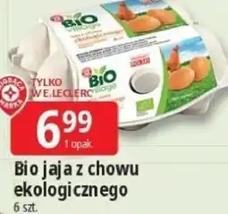 E.Leclerc Jaja z chowu ekologicznego Giedrys Farm 10 szt oferta