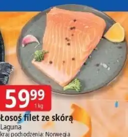 E.Leclerc Łosoś filet ze skórą Laguna oferta