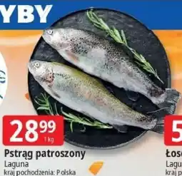 E.Leclerc Pstrąg patroszony Laguna oferta