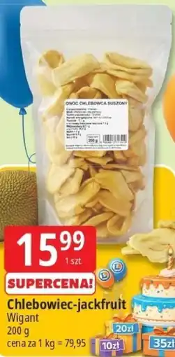 E.Leclerc Chlebowiec - jackfruit Wigant oferta