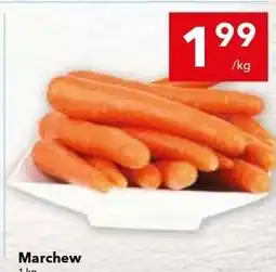 Lewiatan Marchew oferta