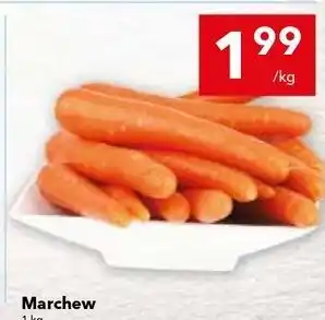 Lewiatan Marchew oferta