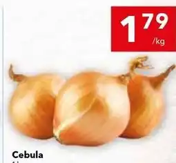 Lewiatan Cebula oferta