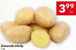 Lewiatan Ziemniak młody oferta