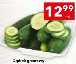 Lewiatan Ogórek gruntowy oferta