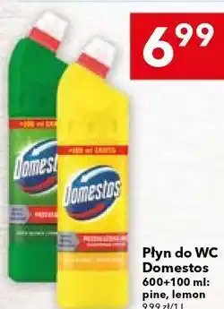 Lewiatan Płyn do WC Domestos oferta