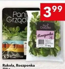 Lewiatan Rukola, Roszponka Pani Grządka oferta