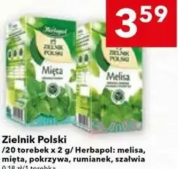 Lewiatan Zielnik Polski /20 torebek x 2 g/ Herbapol: melisa, mięta, pokrzywa, rumianek, szałwia oferta