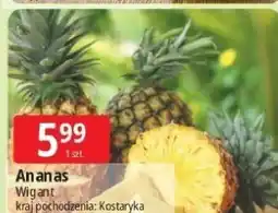 E.Leclerc Ananas oferta