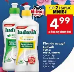 Lewiatan Płyn do naczyń Ludwik oferta