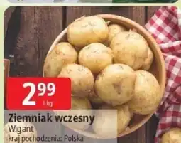 E.Leclerc Ziemniak wczesny oferta