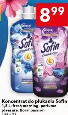 Lewiatan Koncentrat do płukania Sofin oferta