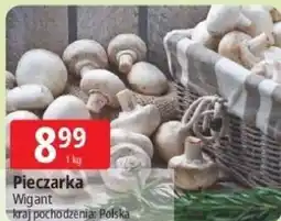 E.Leclerc Pieczarka oferta