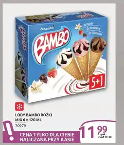 Selgros Lody bambo rożki mix oferta
