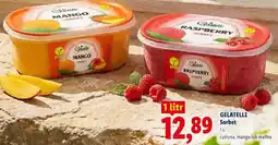 Lidl Lody Sorbet malina oferta