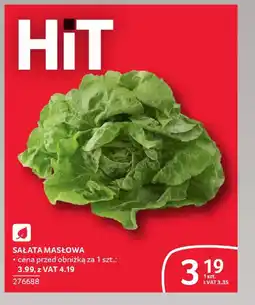 Selgros Sałata masłowa oferta