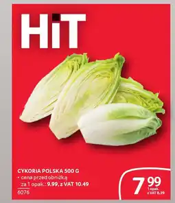 Selgros Cykoria polska oferta