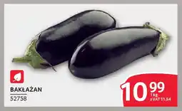 Selgros Bakłażan oferta