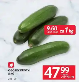 Selgros Ogórek krótki oferta