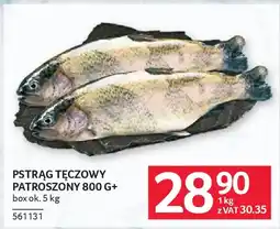 Selgros Pstrąg tęczowy patroszony oferta