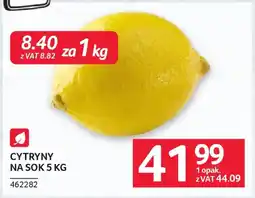 Selgros Cytryny na sok oferta