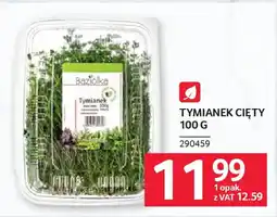 Selgros Tymianek cięty oferta