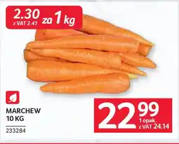 Selgros Marchew oferta