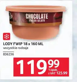 Selgros Lody fwip oferta
