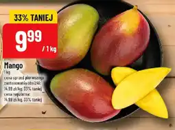 Polomarket Mango oferta