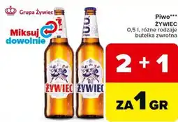 Carrefour Piwo ŻYWIEC oferta