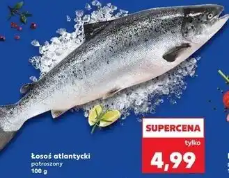 Łosoś atlantycki patroszony