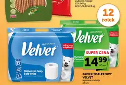 Groszek Papier toaletowy velvet oferta