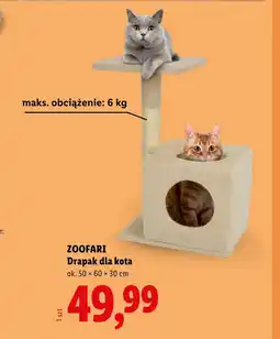 Lidl Drapak dla kota Zoofari oferta