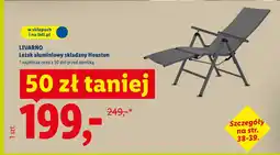 Lidl Leżak Livarno oferta