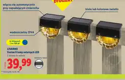 Lidl Zestaw lamp Livarno oferta