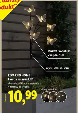 Lidl Lampa solarna Livarno oferta