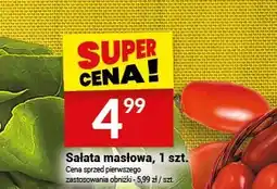 Twój Market Pomidor daktylowy shaker oferta