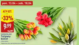 ALDI Bukiet tulipanów Gardenline oferta