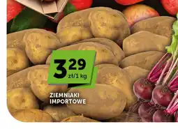 Groszek Ziemniaki importowe oferta