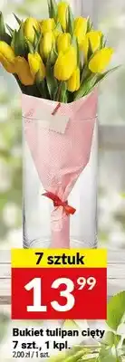 Twój Market Bukiet tulipan cięty 7+kt oferta