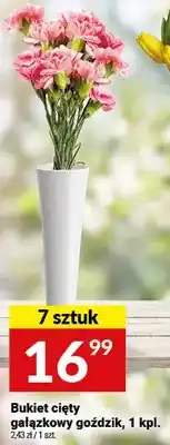 Twój Market Bukiet cięty mieszowy goździk oferta
