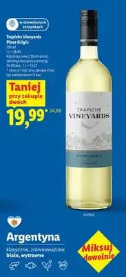 Lidl Wino Pinot Grigio oferta