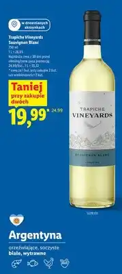 Lidl Wino Sauvignon Blanc oferta