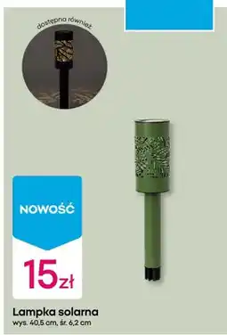 Pepco Lampka solarna 40,5 cm oferta