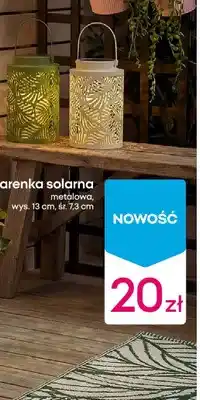 Pepco Latarenka solarna oferta