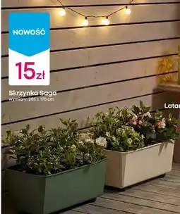 Pepco Skrzynka Saga oferta