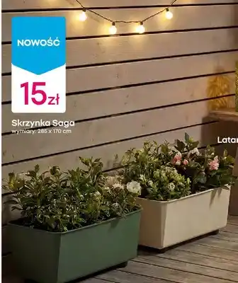 Skrzynka Saga